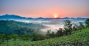Tháng năm và Đà Lạt
